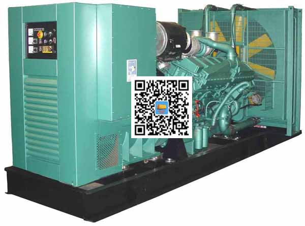 贵阳笼型异步发电机的电力电子控制技术